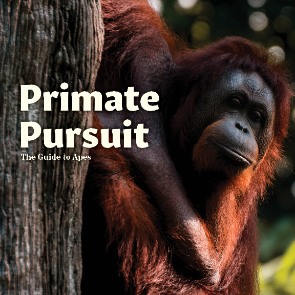 Cover of Primate Pursuit Brochure