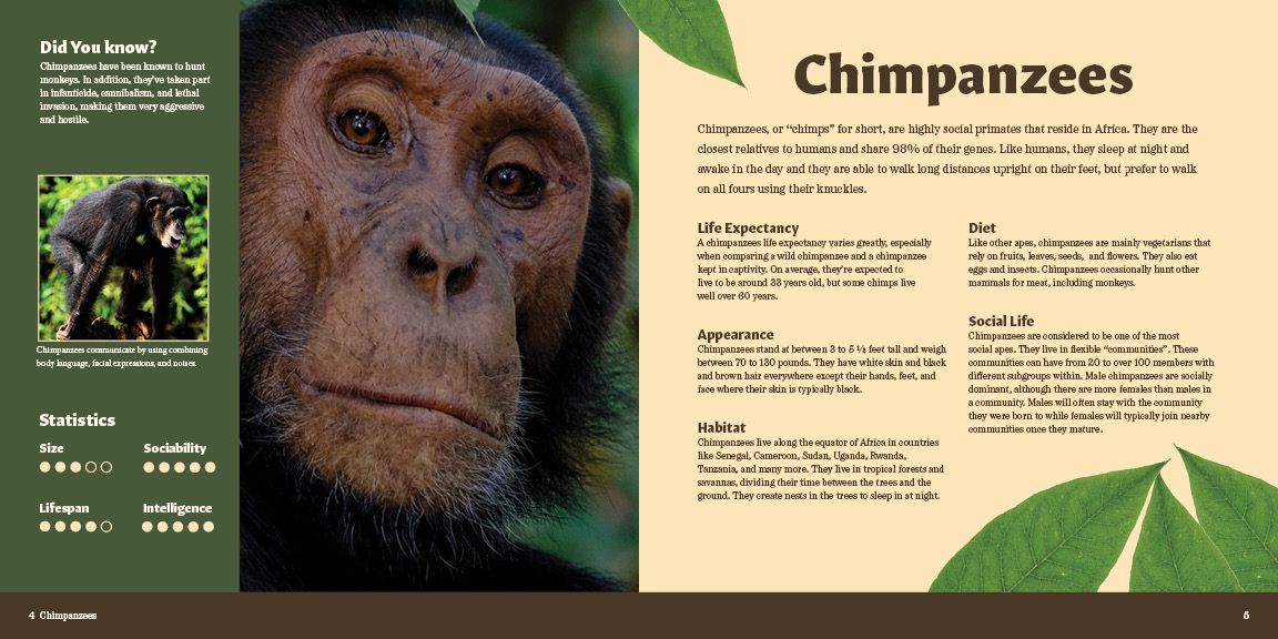 Pages 4 & 5 of Primate Pursuit Brochure