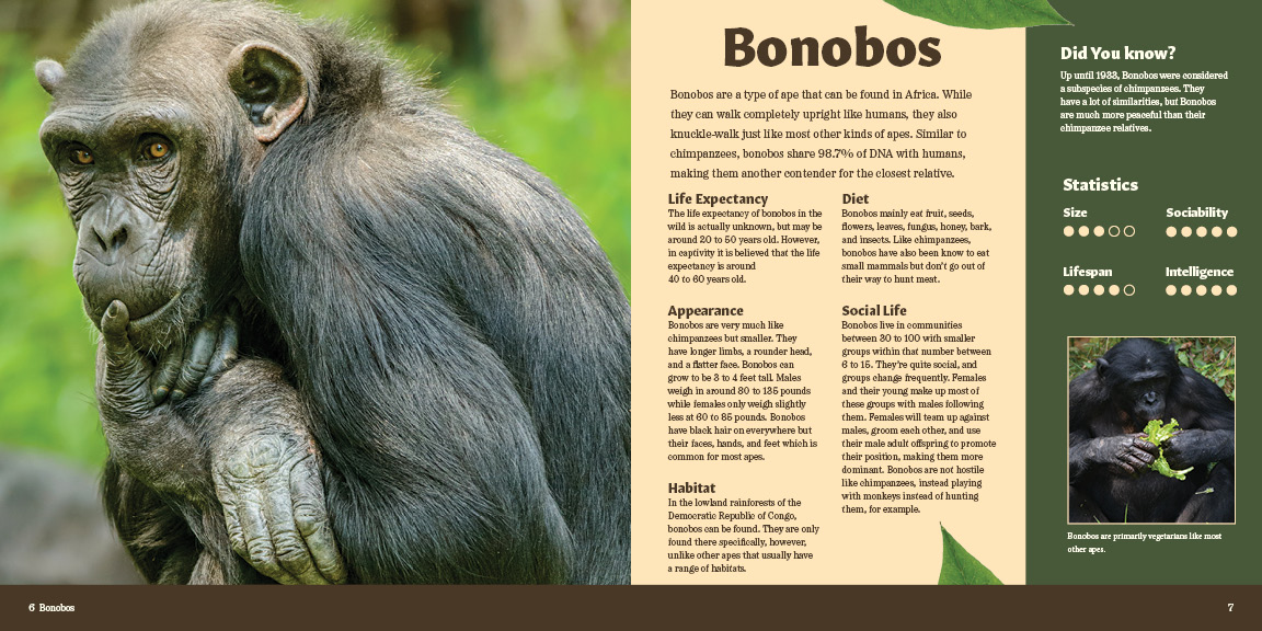 Pages 6 & 7 of Primate Pursuit Brochure