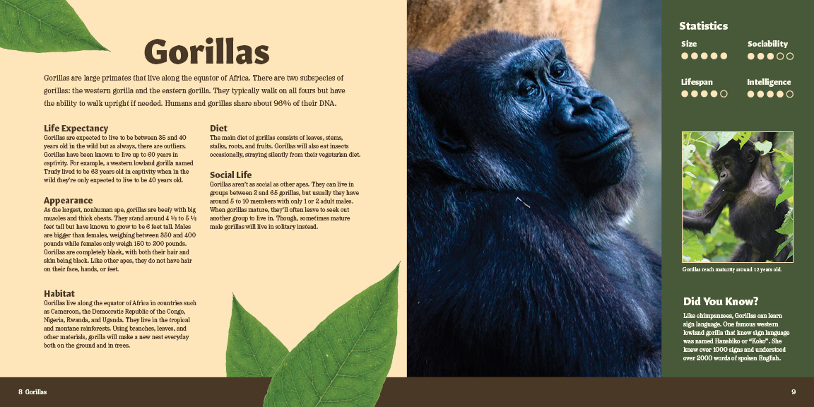 Pages 8 & 9 of Primate Pursuit Brochure