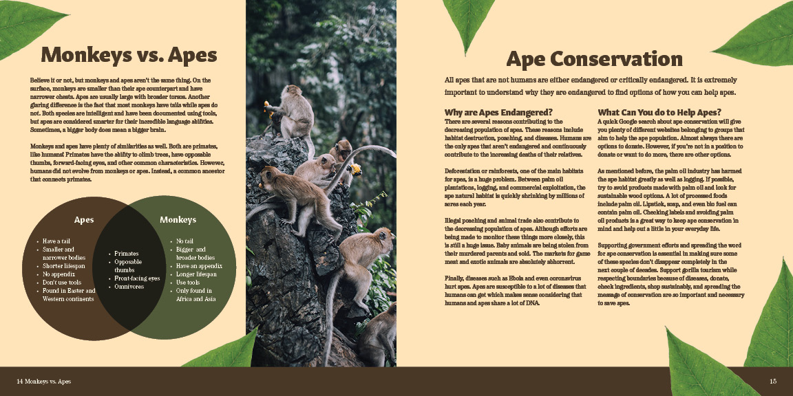 Pages 14 & 15 of Primate Pursuit Brochure