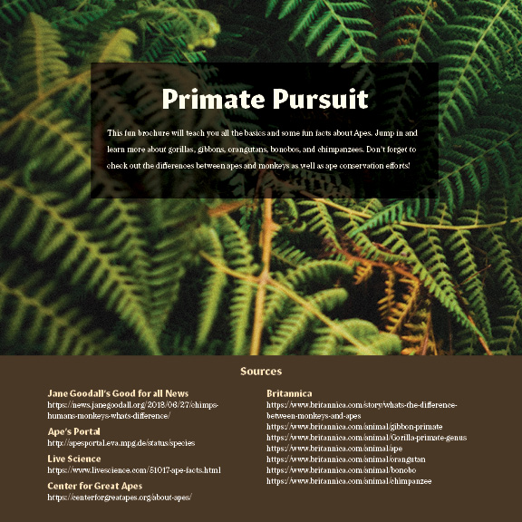 Back cover of Primate Pursuit Brochure
