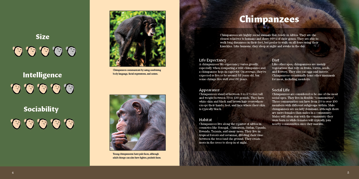 First version of chimpanzees spread