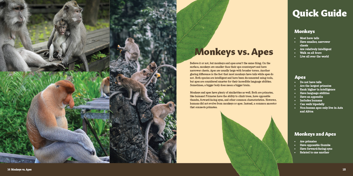 First version of monkeys vs apes spread