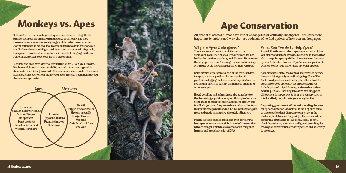 Second version of monkeys vs apes and conservation spread