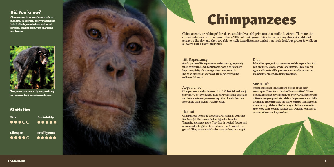 Second version of chimpanzee spread
